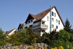 Breitlen2011